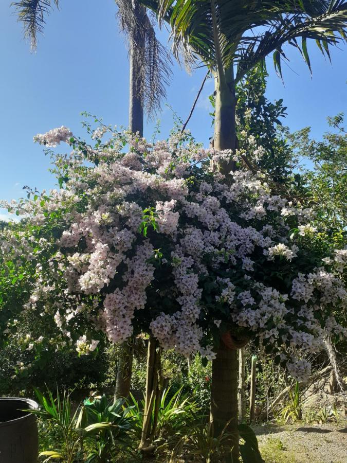 Chacara Cantinho Da Paz Ibiúna Екстериор снимка